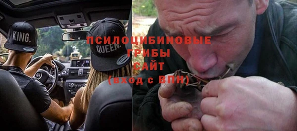 винт Абаза