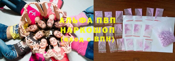 винт Абаза
