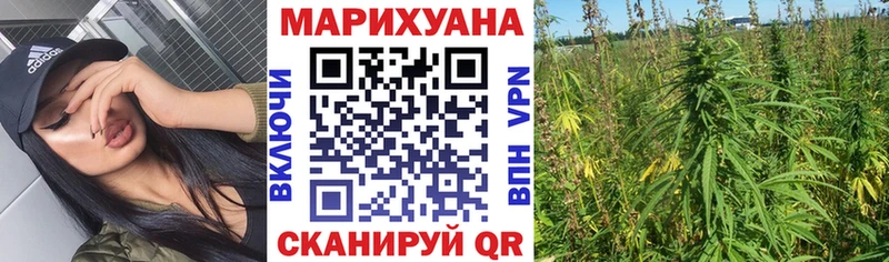 кракен вход Сальск Шишки марихуана планчик